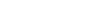 Strategic Insurance Group